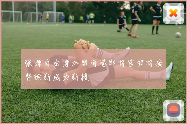 张源自由身加盟海港即将官宣将接替徐新成为新援