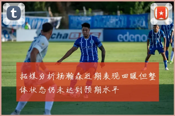 拓媒分析杨瀚森近期表现回暖但整体状态仍未达到预期水平