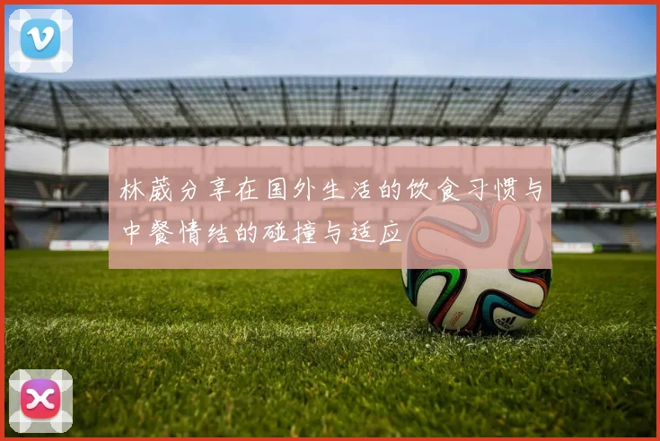 林葳分享在国外生活的饮食习惯与中餐情结的碰撞与适应