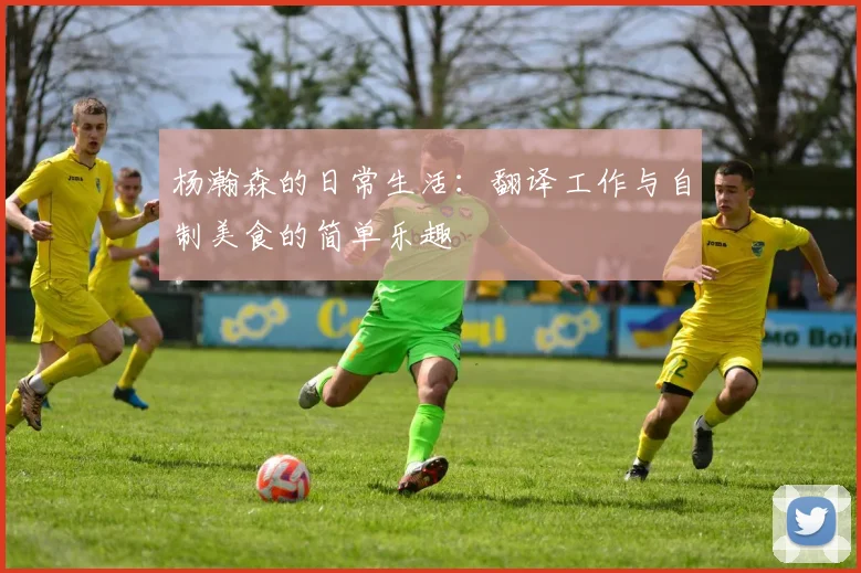 杨瀚森的日常生活：翻译工作与自制美食的简单乐趣