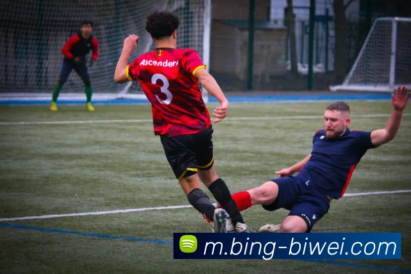 多媒体互动体验