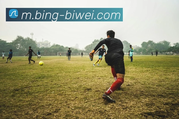 必威体育APP 高清赛事图